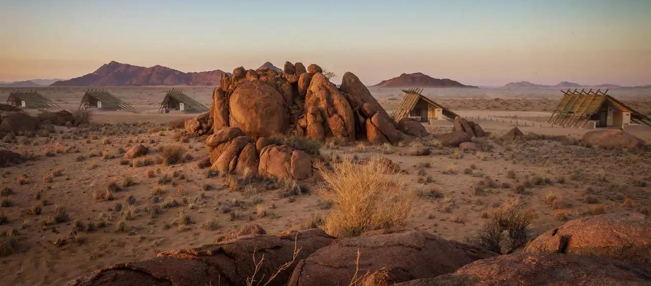 Desert Quiver Camp