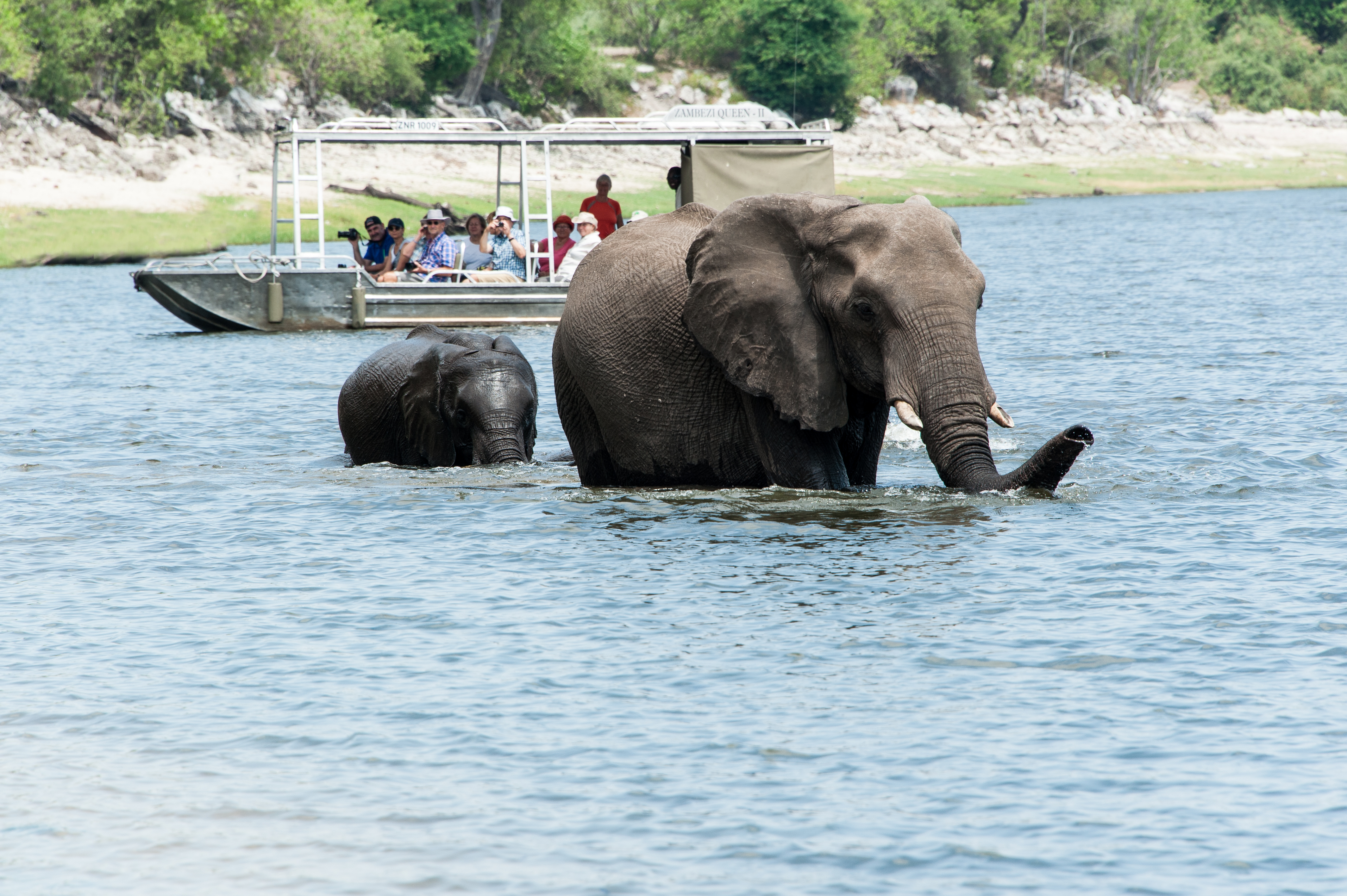 Zambezi Queen Luxury River Safari Boat