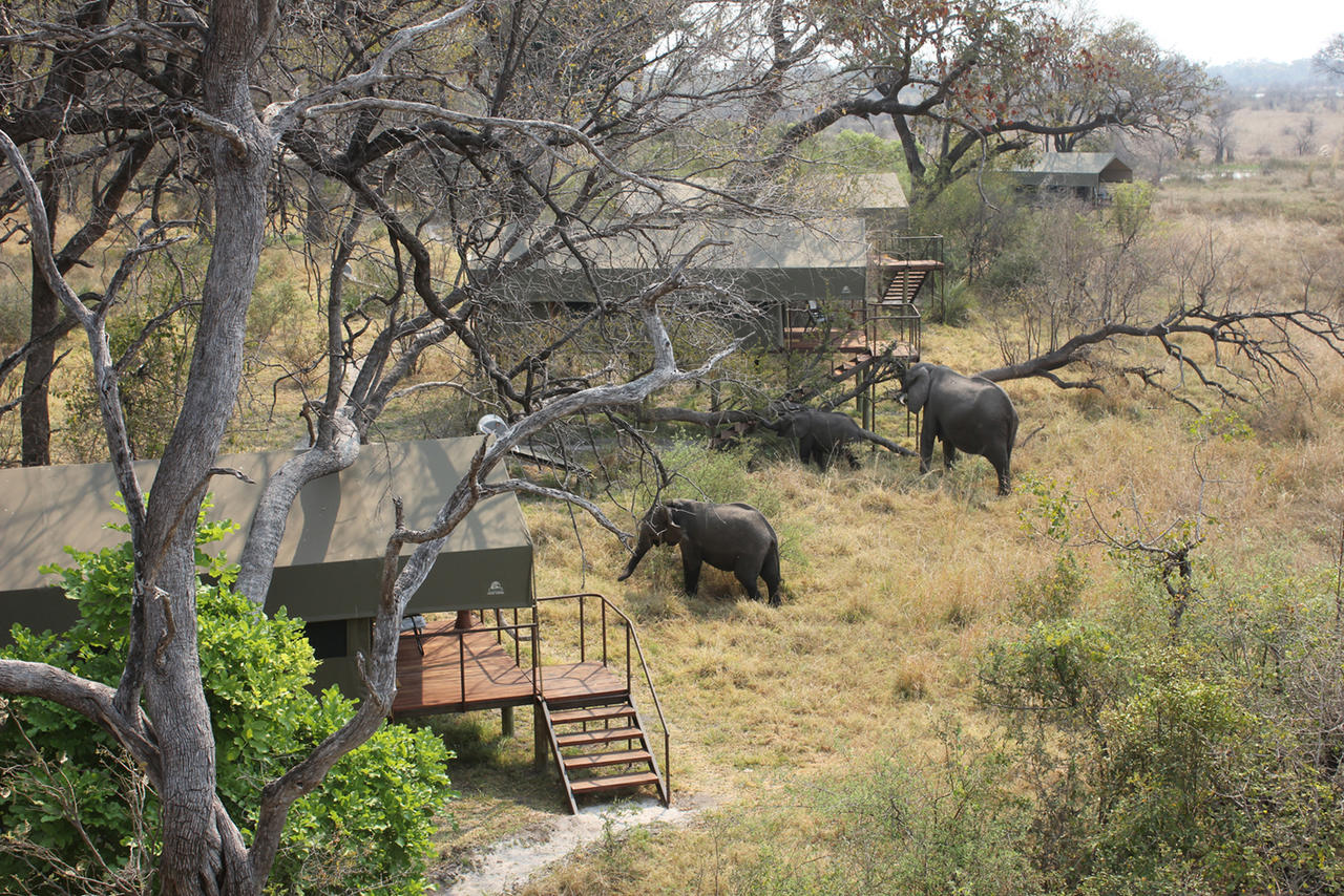 Nkasa Lupala Tented Lodge