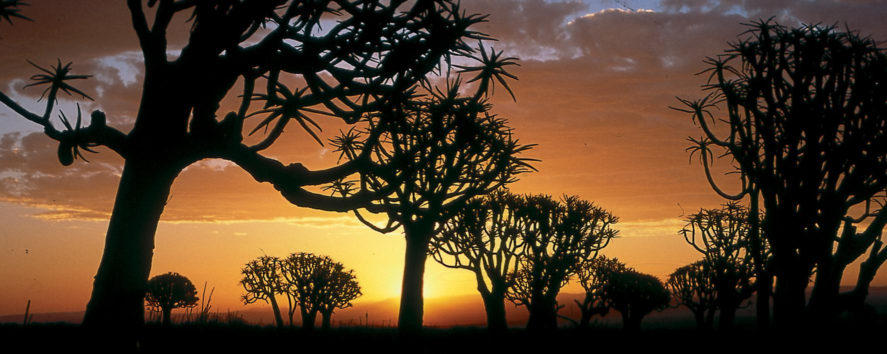 South/Fish River Canyon/Luderitz