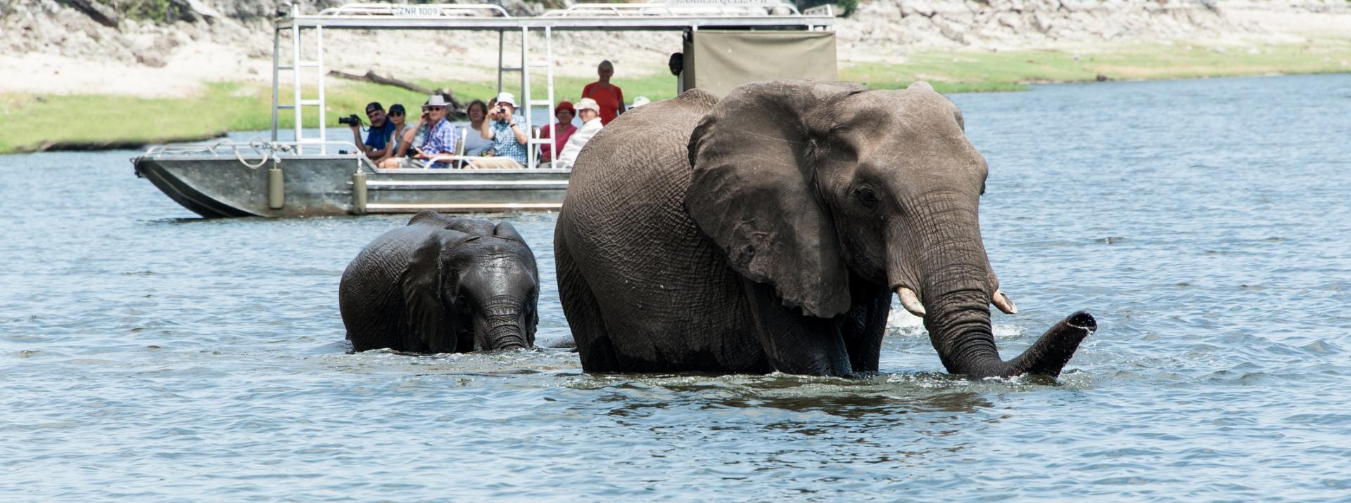 Zambezi Queen