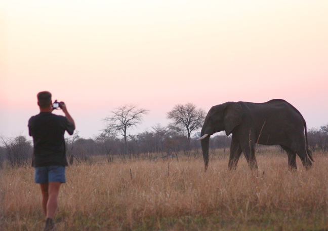 Namushasha River Lodge