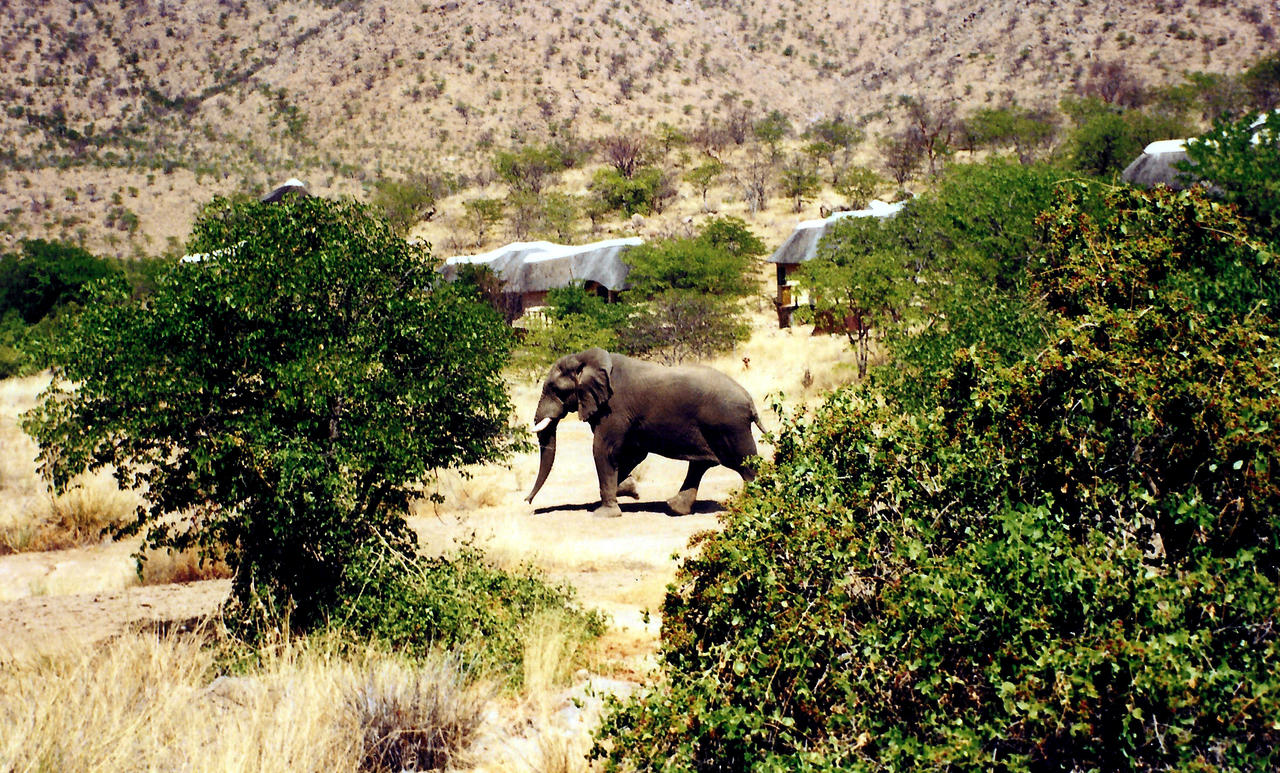 Huab Lodge Namibia