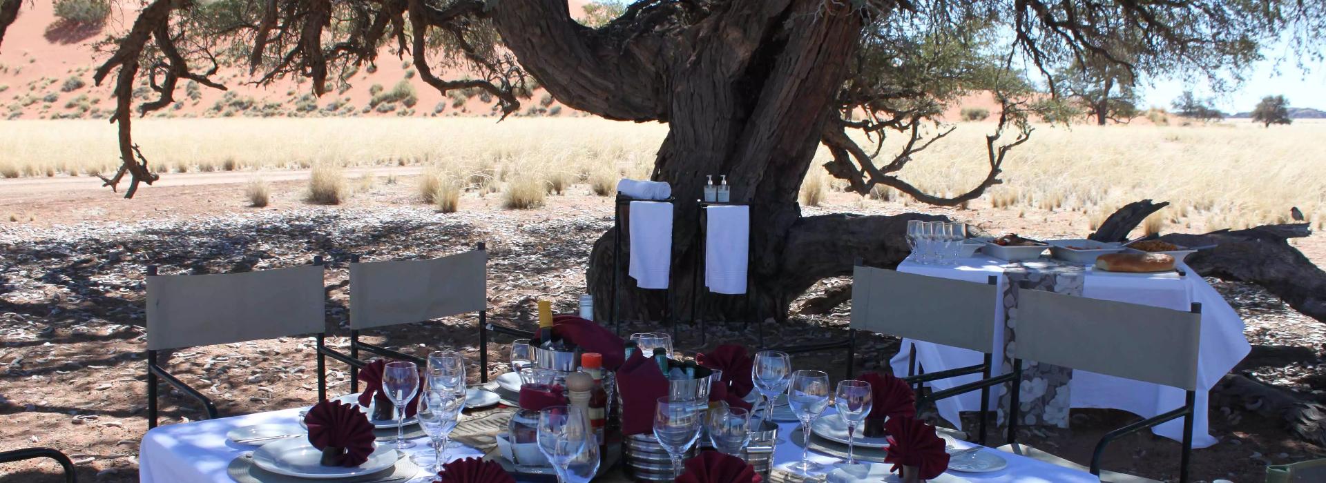 Hoodia Desert Lodge Hoodia Desert Lodge