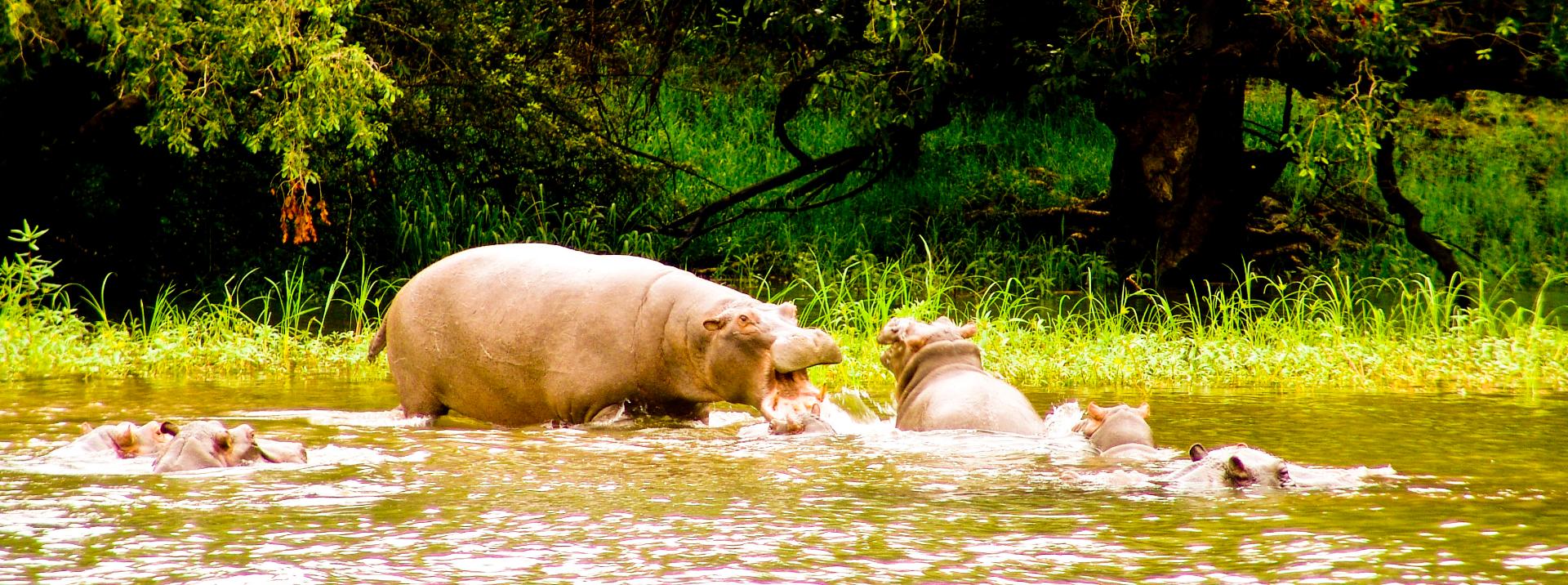 North-East/Caprivi