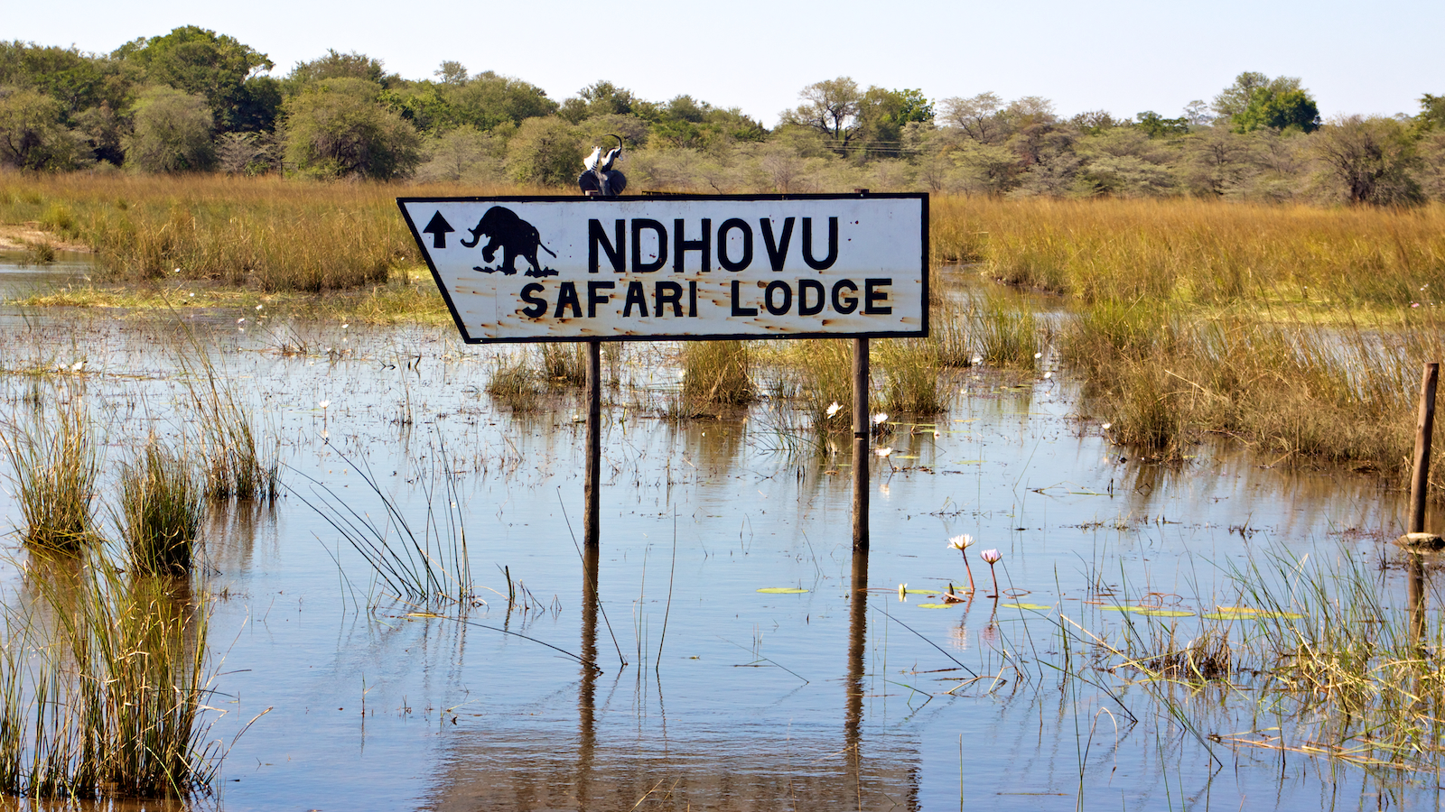 Ndhovu Safari Lodge