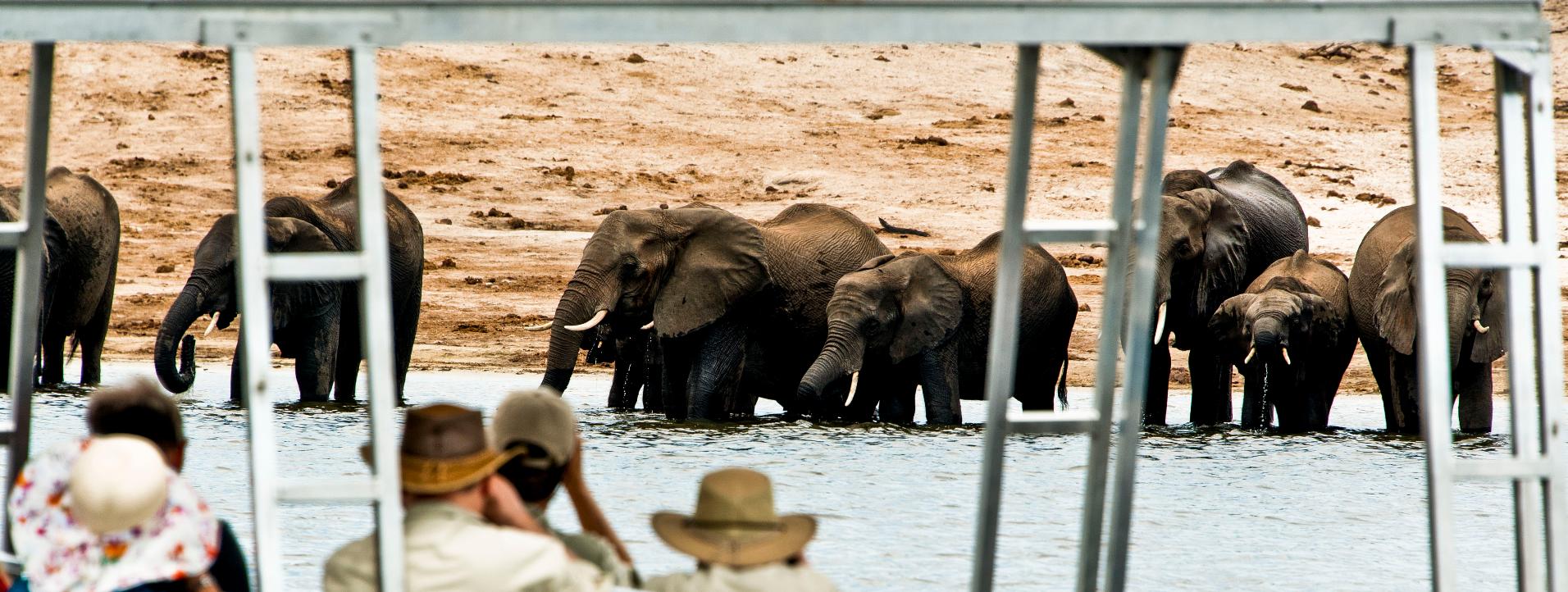 Zambezi Queen