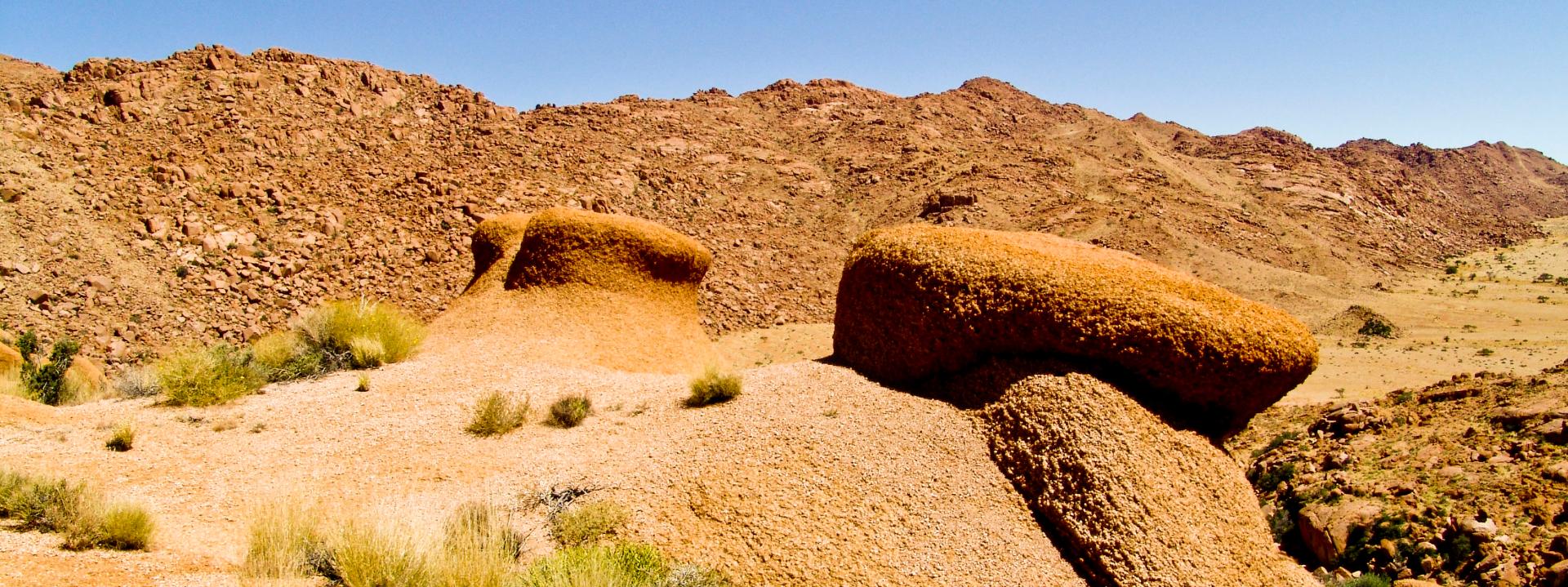 Namib/Sossusvlei