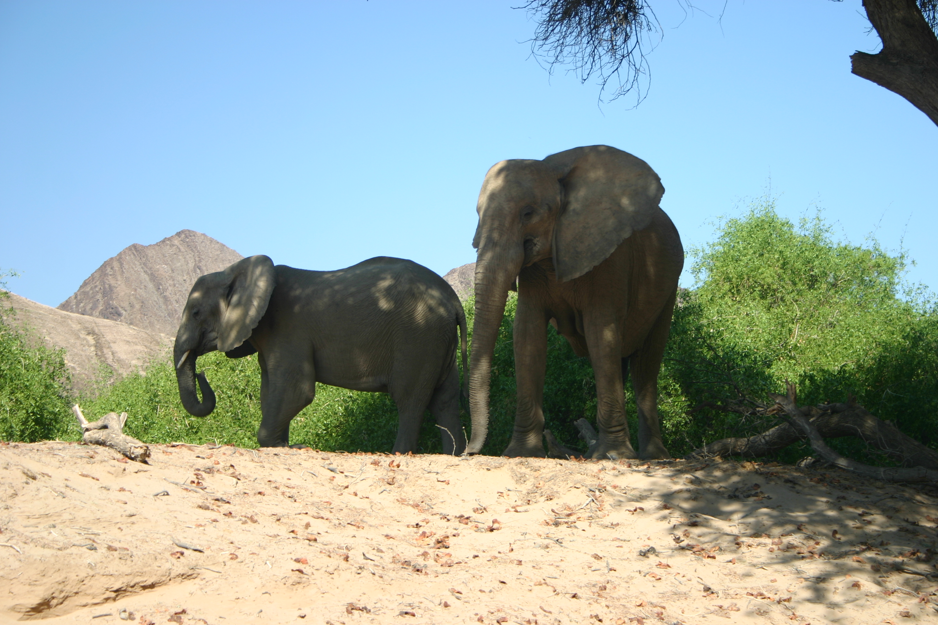 Fort Sesfontein Lodge