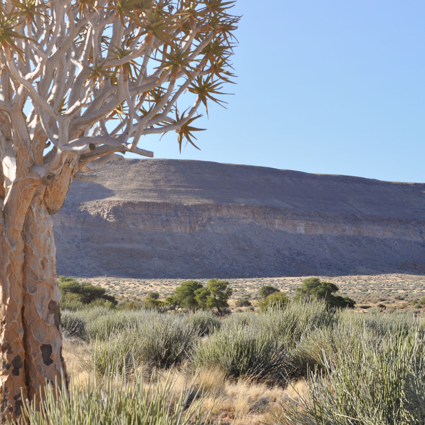 South/Fish River Canyon/Luderitz