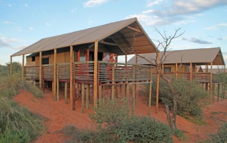 Suricate Tented Lodge