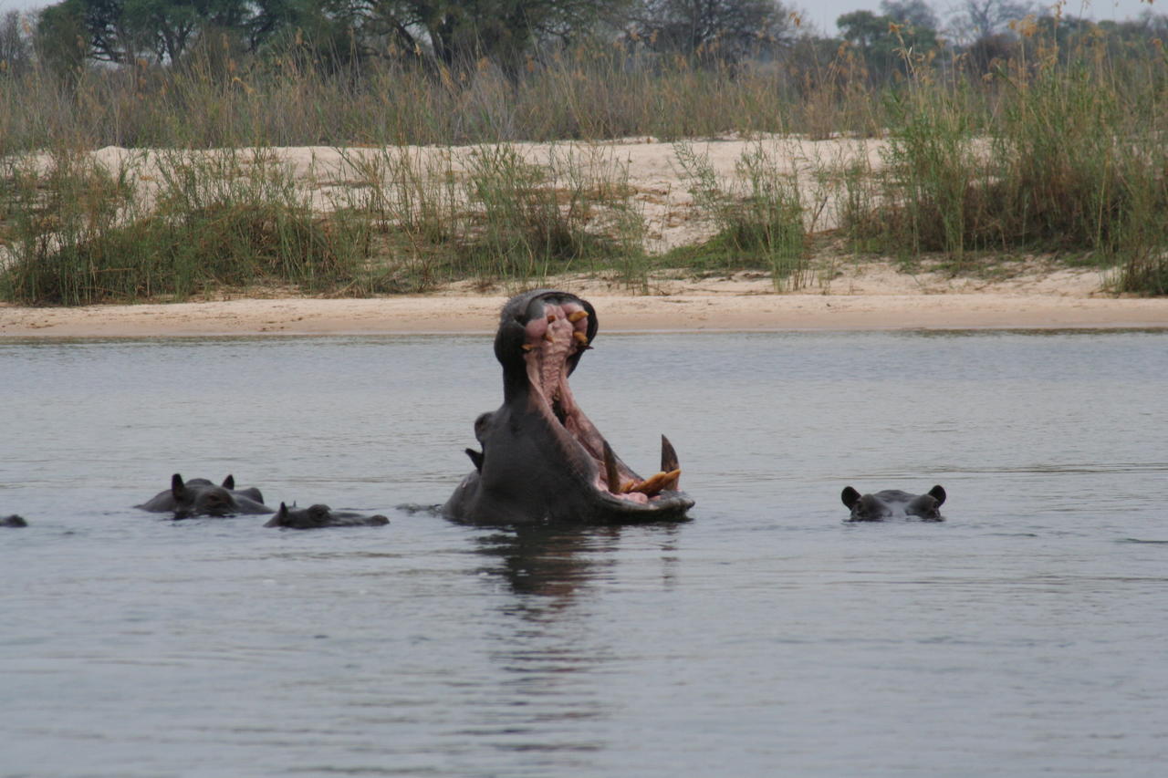 Ndhovu Safari Lodge