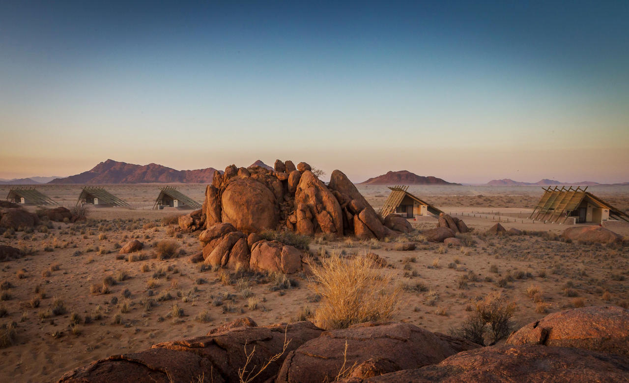 Desert Quiver Camp