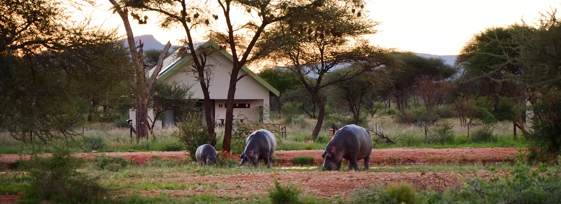 Erindi Game Reserve | Camp Elephant Erindi Game Reserve | Camp Elephant