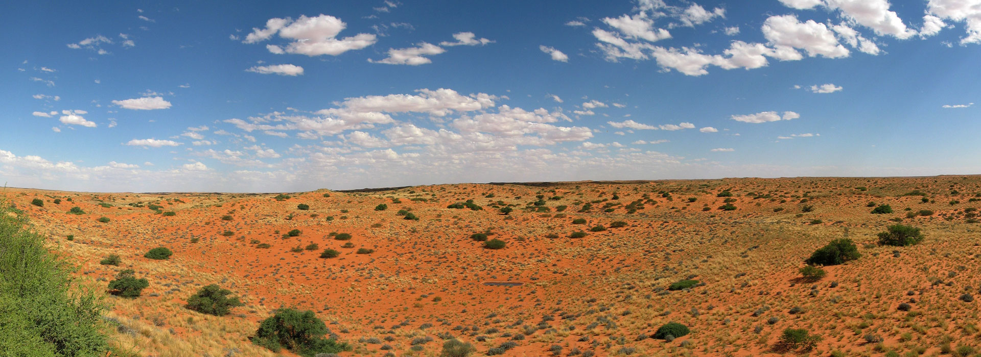 Kalahari