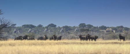 Xaudum Lodge