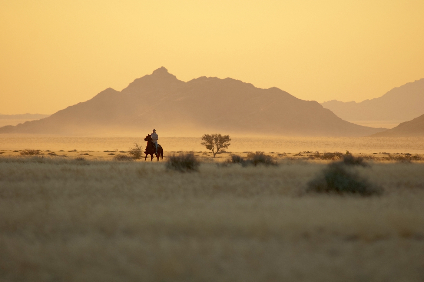 Desert Homestead Lodge