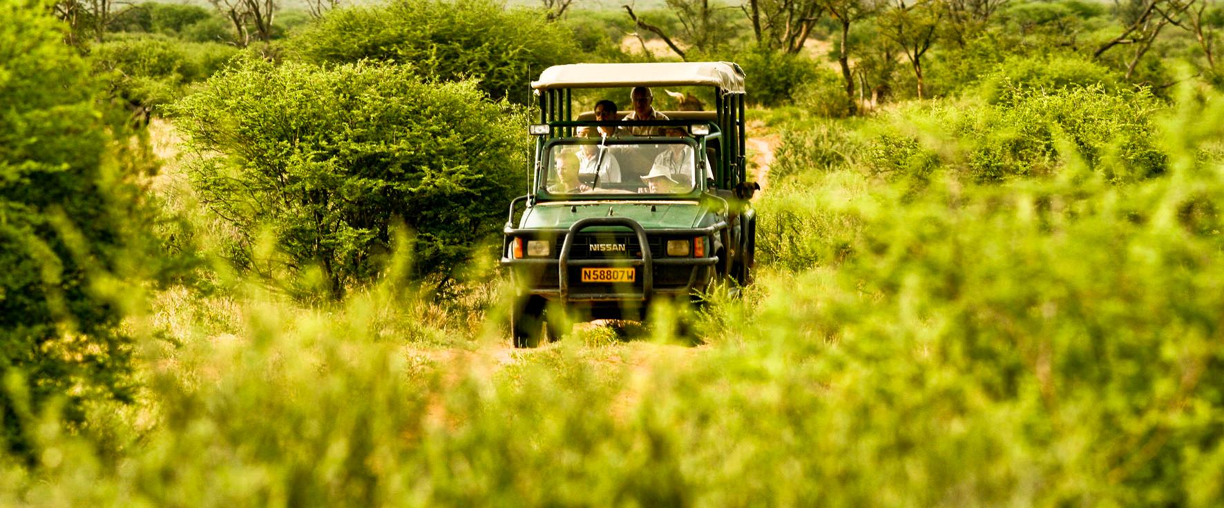 Okambara Elephant Lodge