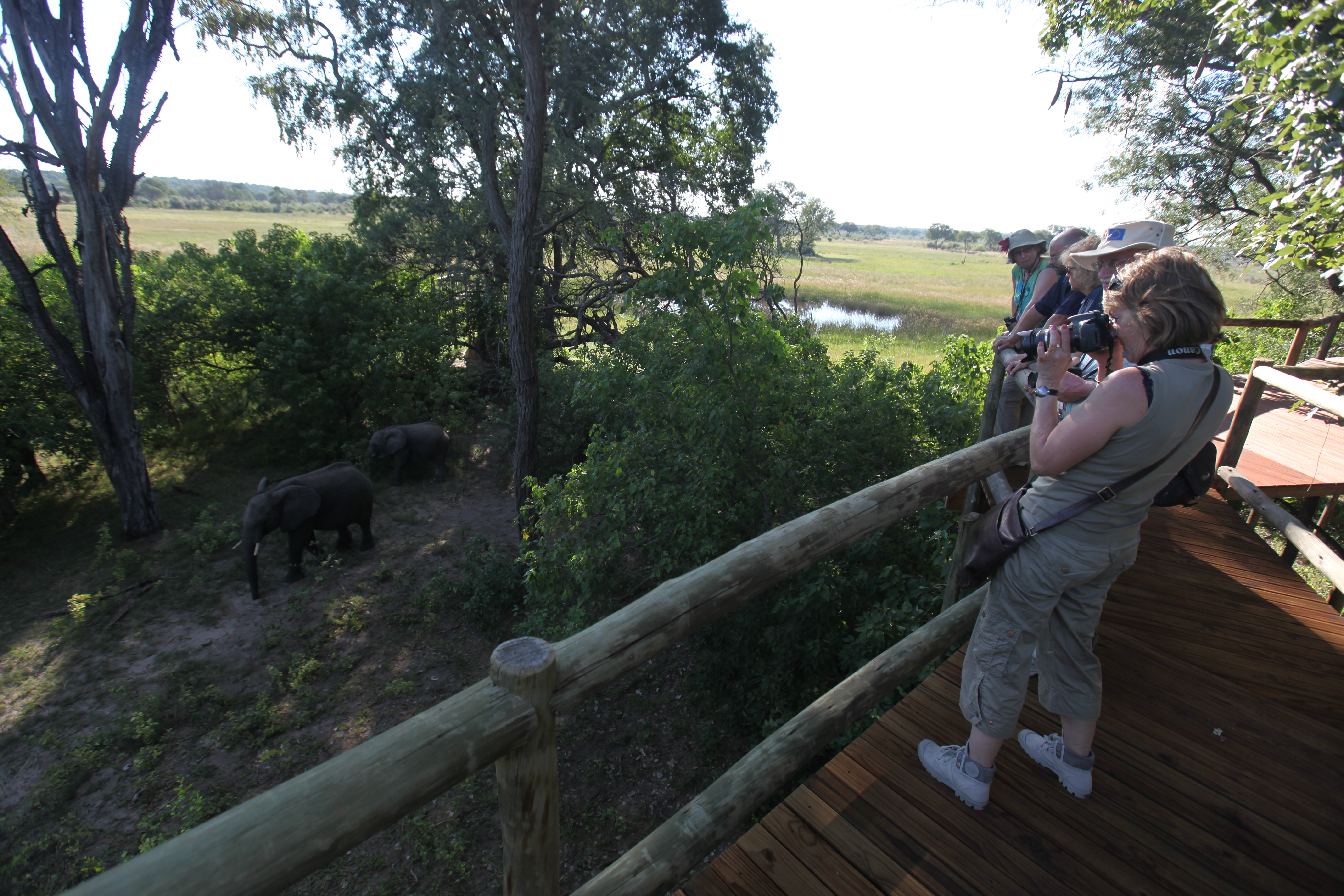 Nambwa Tented Lodge