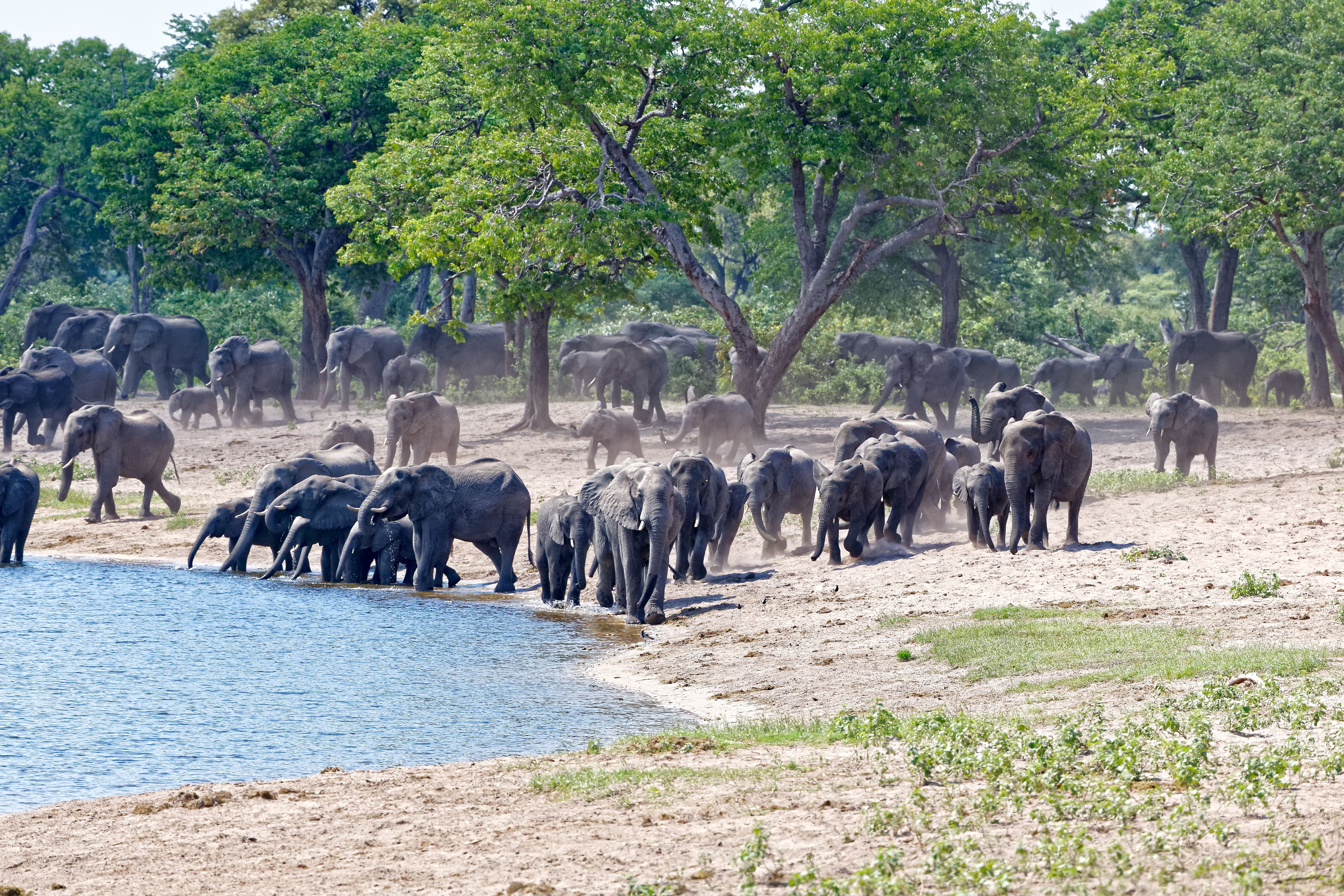 Nambwa Tented Lodge