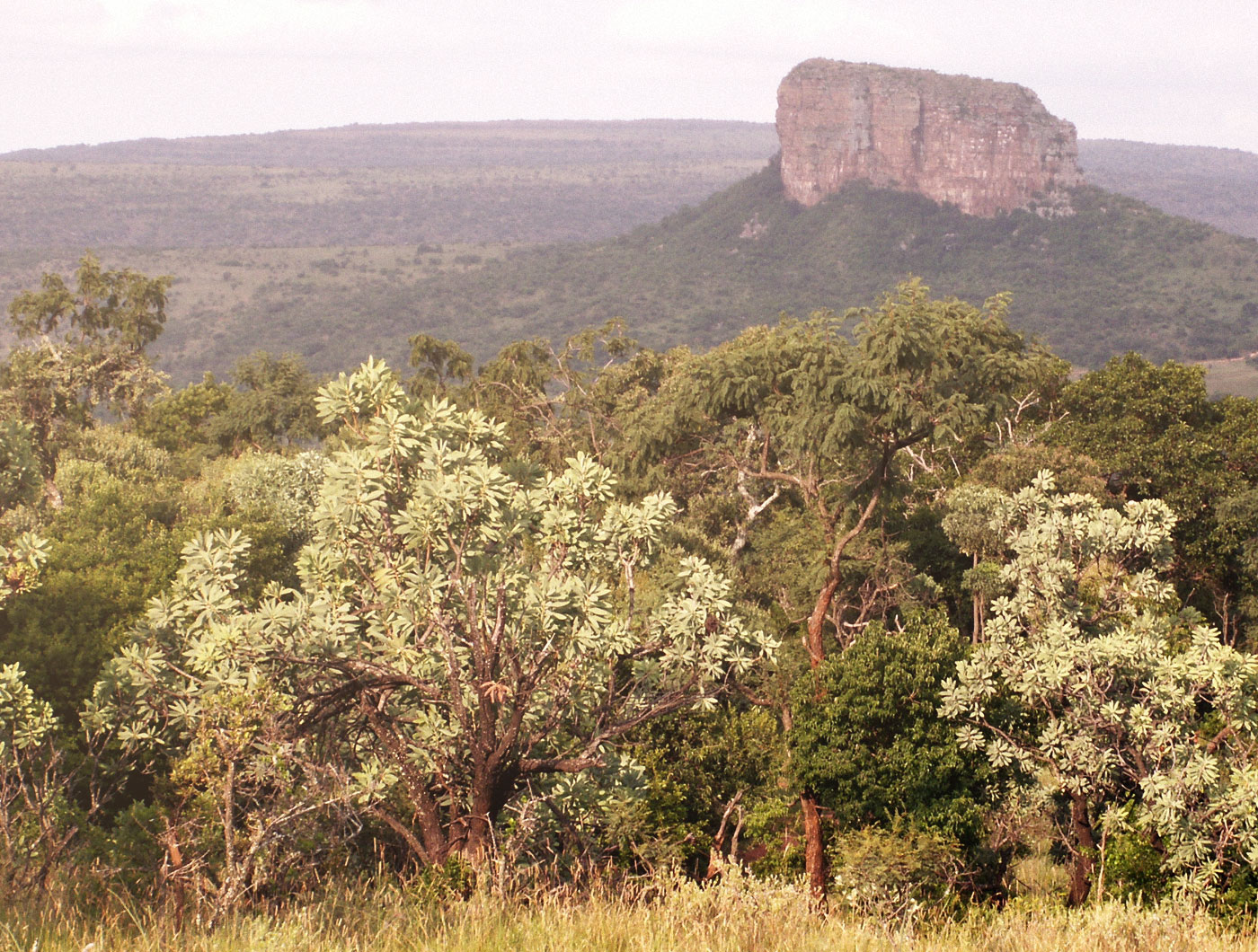 Waterberg Park