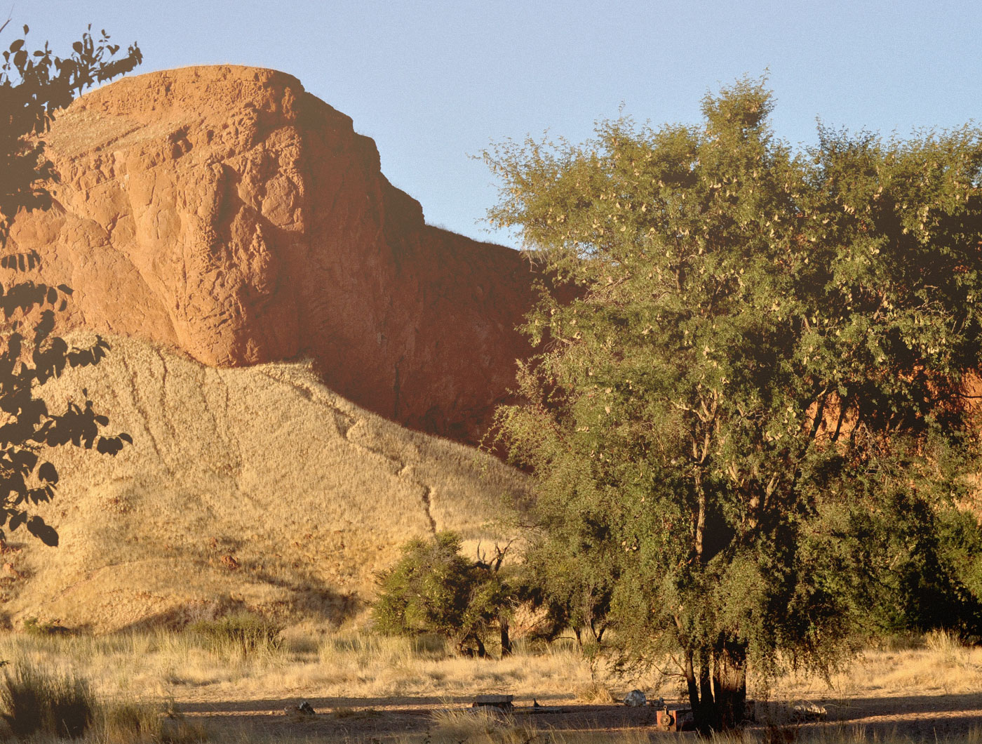 Namib/Sossusvlei 