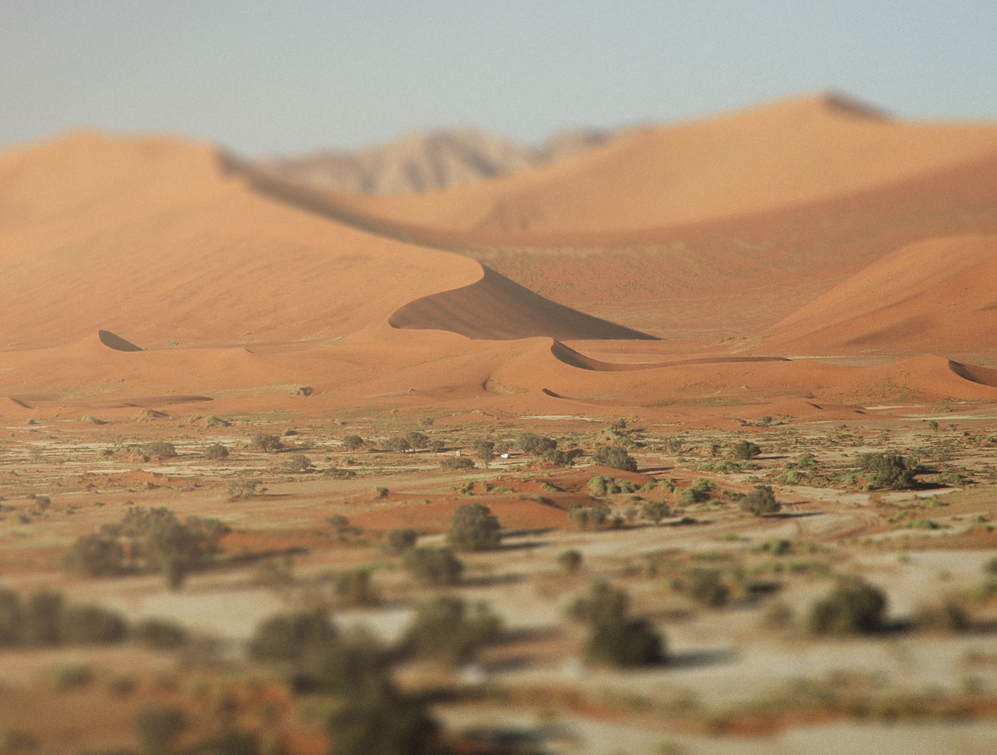 Namib/Sossusvlei 