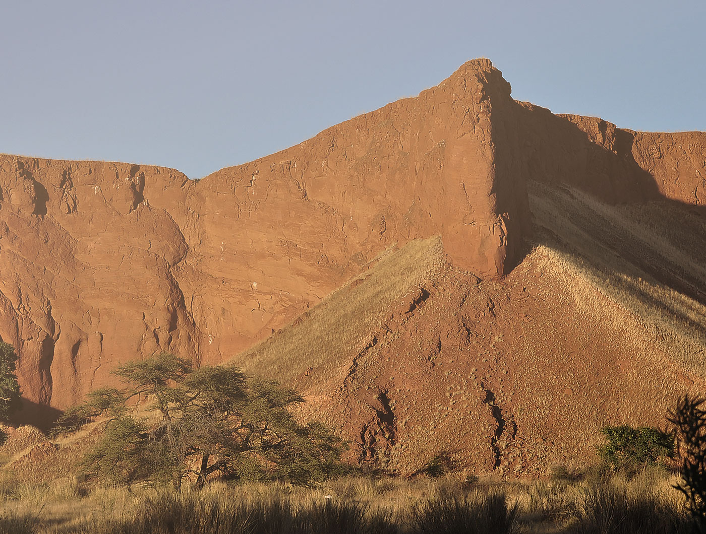 Namib/Sossusvlei 