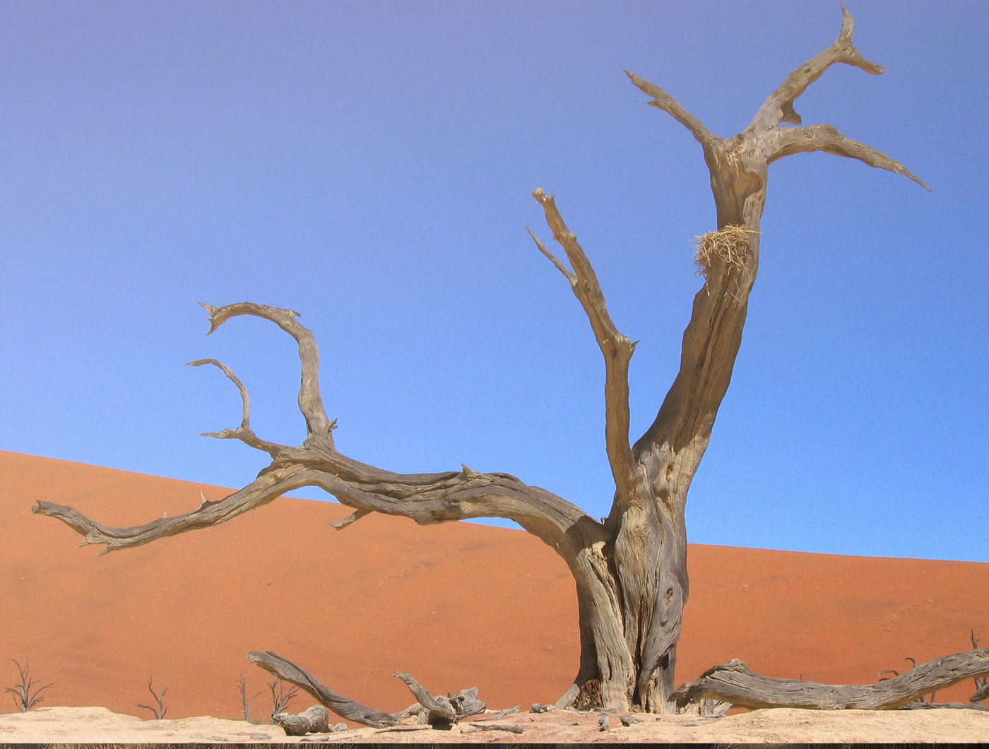 Namib/Sossusvlei 