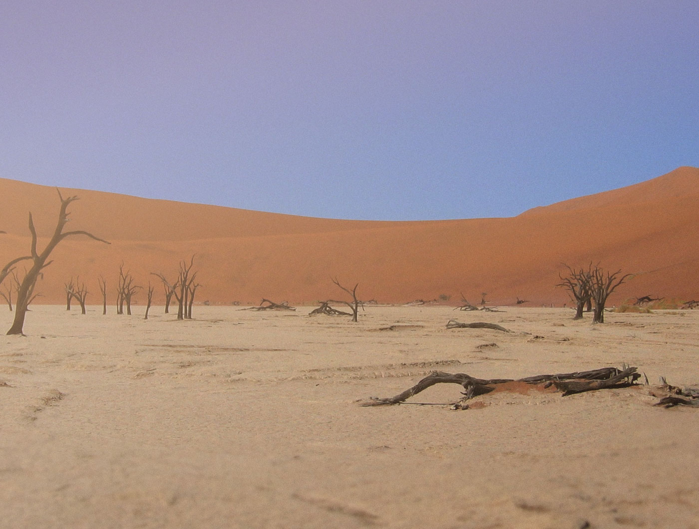 Namib/Sossusvlei 